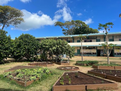 Catherine Toth Fox: How One Kailua Teacher Enriched Learning Through A Gardening Program