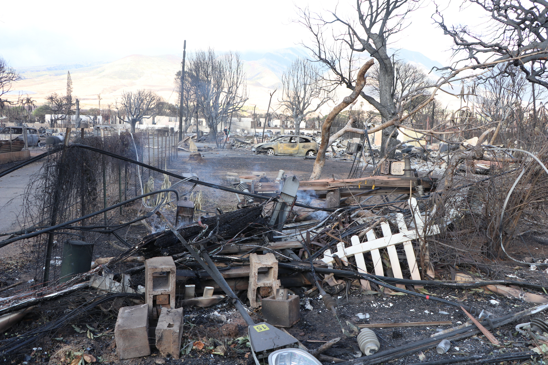 August 10, 2023, photographs two days after the fire which destroyed Lahaina town. (Courtesy of the DLNR)