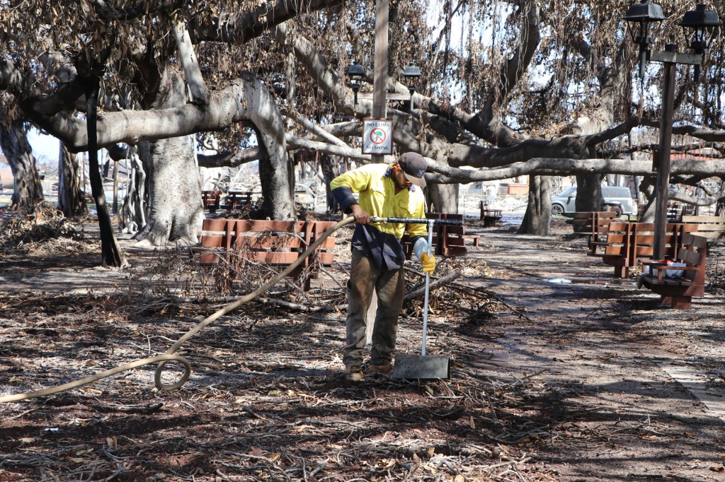 Lahaina Fire - Banyan tree aeration Aug. 16 2023, photographs. (Courtesy of the DLNR)