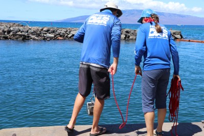 House Group: Monitor For Contamination, But Also Restore Lahaina Wetlands