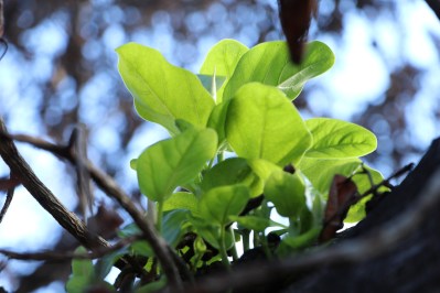 Growing From Trauma Is Not Easy. But We Can Do It
