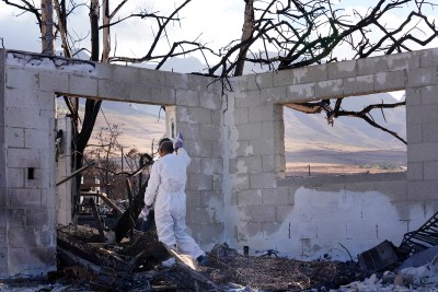 After Debris Removal, Lahaina Fire Survivor Left With Blank Slate For Future Home