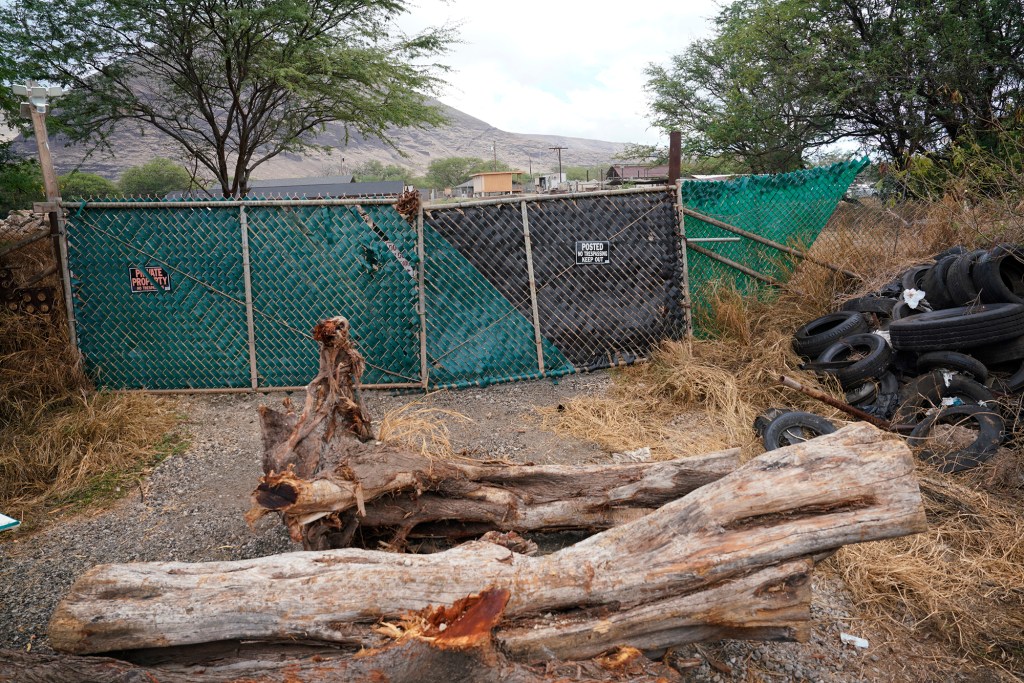 The site of an alleged cockfighting ring is photographed Tuesday, Nov. 21, 2023, at 87-881 Iliili Road in Waianae. Six Honolulu County residents were arrested for cockfighting. (Kevin Fujii/Civil Beat/2023)