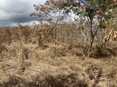 Danny De Gracia: We Cannot Ignore Oahu’s Wildfire Risk Any Longer