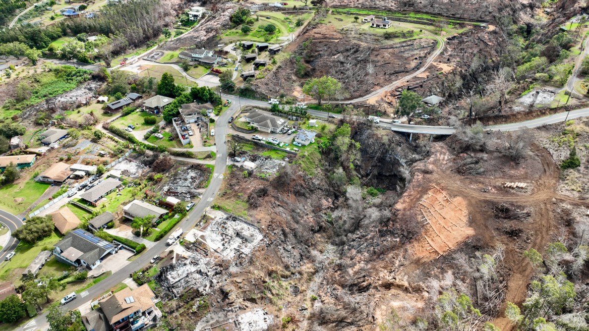 Several homes were destroyed along Kulalani Drive and Haleakala Highway in Upper Kula in the Aug. 8 wildfire. (Nathan Eagle/Civil Beat/2023)