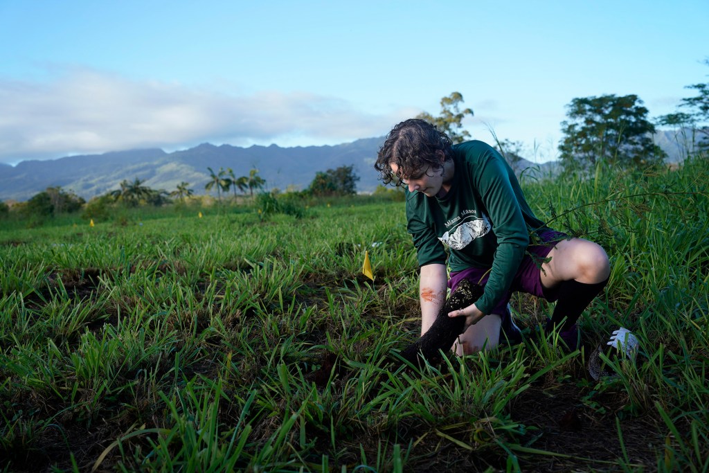 Punahou student Asryelle Mora Rollo, co-founder of the Carbon Neutrality Challenge, demonstrates how to plant a koa sapling to novice tree planters Saturday, Dec. 2, 2023, at the State Monument Kukaniloko Birthstones in Wahiawa. Mora Rollo used this tree-planting event to see how long it would take volunteers to plant 200 native Hawaiian trees. It took 40 minutes for 14 people to plant 200 koa and wiliwili saplings. (Kevin Fujii/Civil Beat/2023)