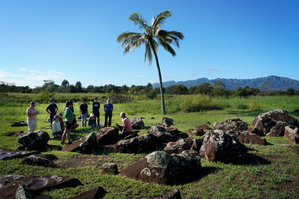 Civic Club of Wahiawa’s Tom Lenchanko, kneeling near center frame, talks story to tree-planing volunteers Saturday, Dec. 2, 2023, at the State Monument Kukaniloko Birthstones in Wahiawa. Carbon Neutrality Challenge volunteers used this tree-planting event to time how long it would take volunteers to plant 200 native Hawaiian trees. It took 14 volunteers 40 minutes to plant the 200 koa and wiliwili saplings. (Kevin Fujii/Civil Beat/2023)