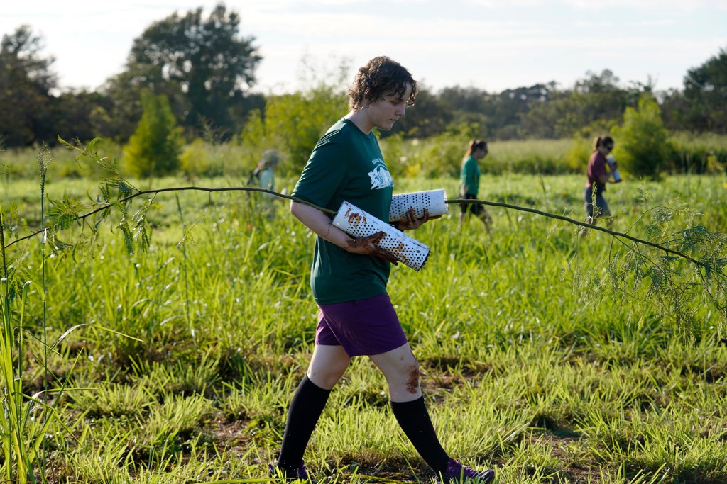 Punahou student Asryelle Mora Rollo, co-founder of the Carbon Neutrality Challenge, carries koa saplings Saturday, Dec. 2, 2023, at the State Monument Kukaniloko Birthstones in Wahiawa. Mora Rollo used this tree-planting event to time how long it would take volunteers to plant 200 native Hawaiian trees. With 14 volunteers, it took 40 minutes to plant all the koa and wiliwili saplings. (Kevin Fujii/Civil Beat/2023)