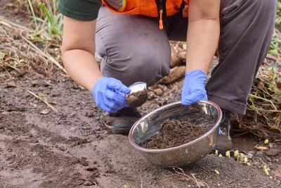 Lahaina’s Wildfire Burned So Hot That Many Dangerous Contaminants Likely Vaporized