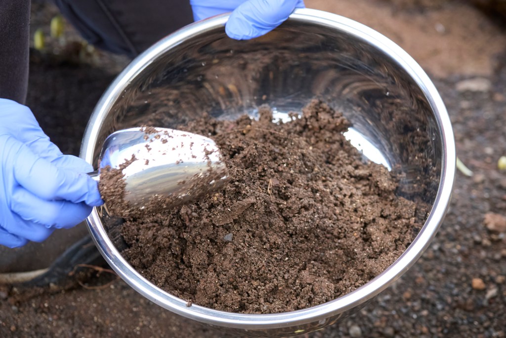 Multiple agencies are jointly investigating how toxic runoff from some 2,170 acres of burned land and more than 2,200 destroyed buildings may be leaching into Lahaina’s coastal waters and coral reef ecosystem. (David Croxford/Civil Beat/2024)