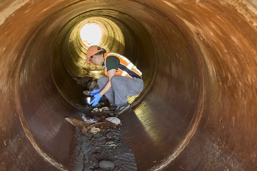 Identifying the “transport pathways” will be key to helping county, state and federal officials understand the entry points of the pollution so they can respond and try to mitigate risks to public health and safety, said USGS research geologist Renee Takesue. (David Croxford/Civil Beat/2024)