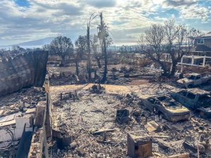 Retired Lanny Daise said it required three trips to meet with disaster workers to complete the needed right of entry form so the U.S. Army Corps of Engineers can remove what's left of his Lahaina home at 519 Aki St. that was built by his wife's grandparents in the 1960s. (Lanny Daise)