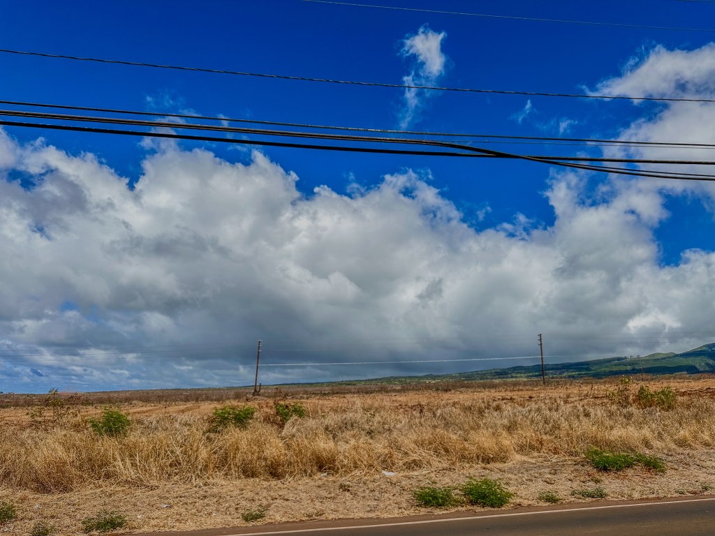 FEMA is seeking public comment on an environmental assessment to build a temporary group housing site in Kaanapali. (Nathan Eagle/Civil Beat/2023)