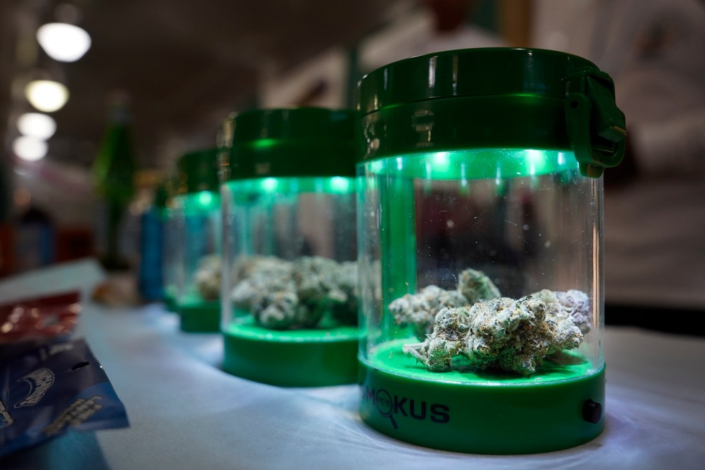 The Oahu Dispensary and Provisions display various cannabis strains at the Hawaii Cannabis Expo Friday, Feb. 2, 2024, at the Blaisdell Exhibition Hall in Honolulu. More than cannabis, vendors showed off other naturally occurring medicines and merchandise. (Kevin Fujii/Civil Beat/2024)