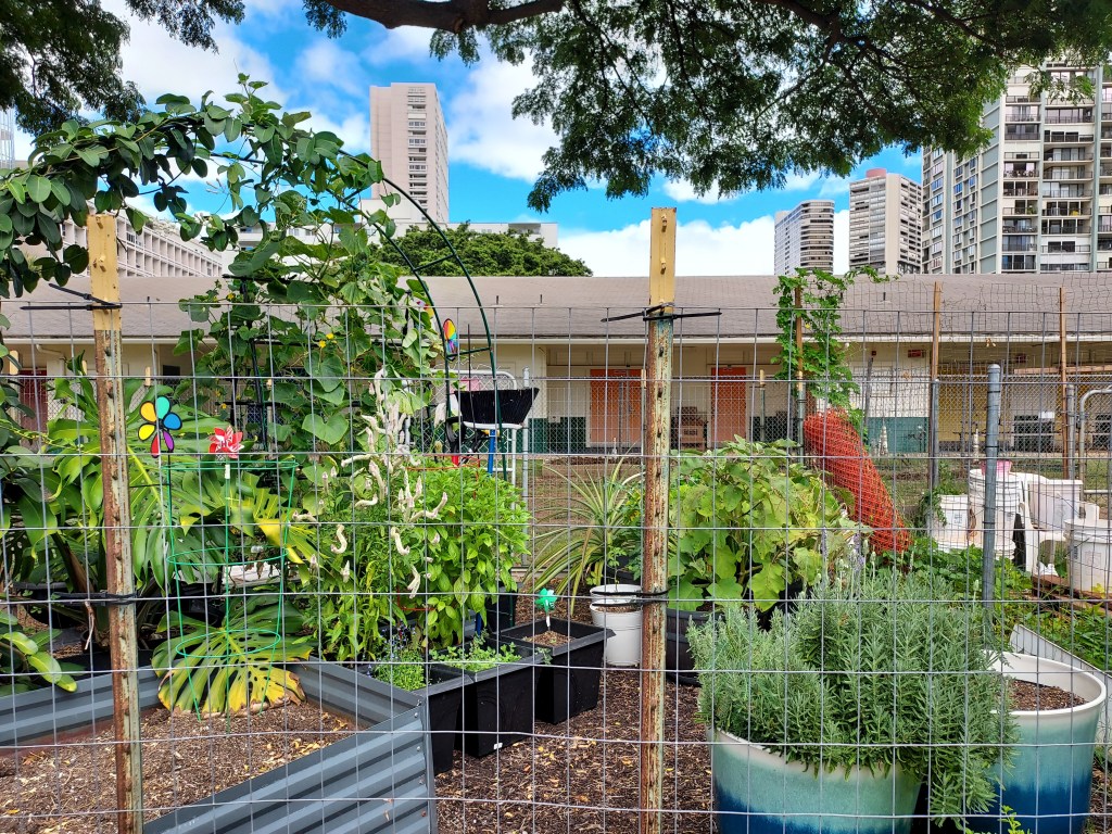 Honolulu Department of Parks and Recreation photo of the Ala Wai Community Gardens.