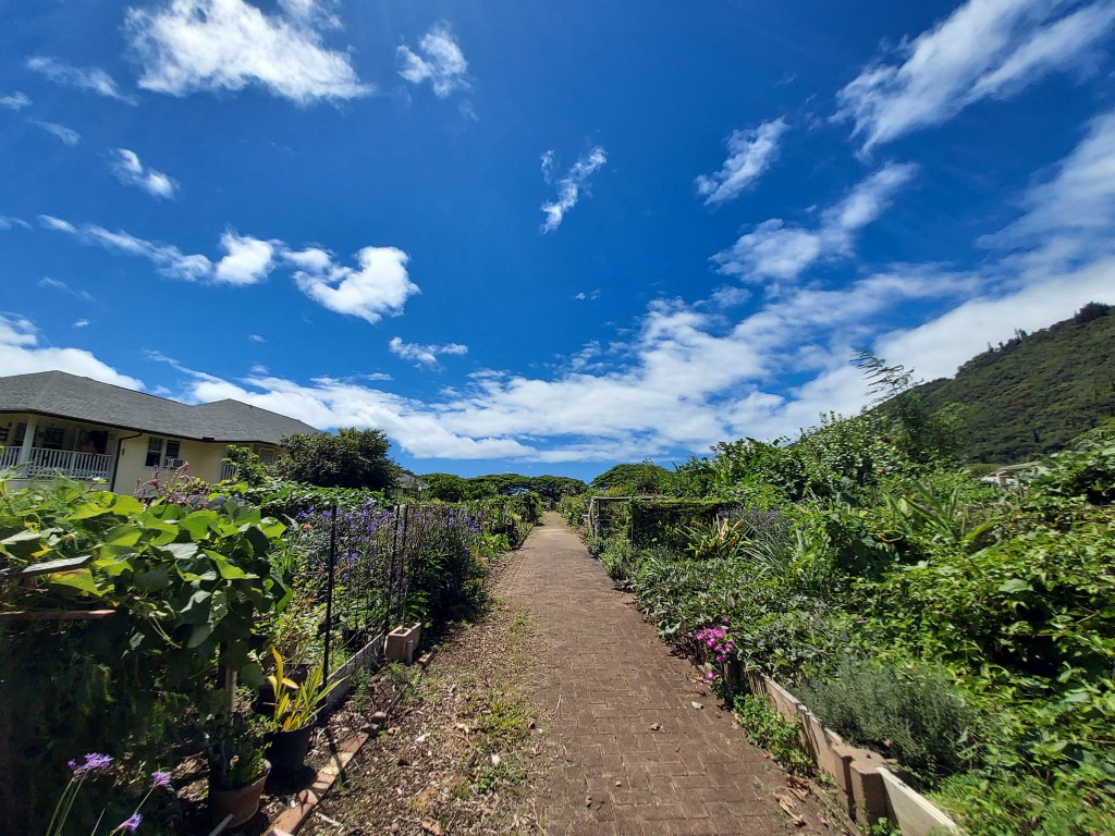 Manoa Community Garden Honolulu Department of Parks and Recreation