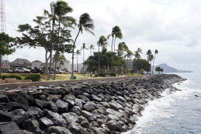 Kakaʻako And Housing Security: State House District 25 Candidate Q&A