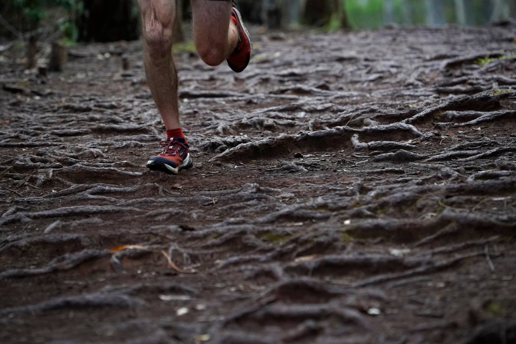 Nicholas Bicandi runs on top of roots during the Hawaiian Ultra Running Team’s Aiea Loop Express at Keaīwa Heiau State Recreation Area Saturday, March 23, 2024, in Aiea. Runners consider this an easy course with a distance of only 6.75-mile and 1,442’ of elevation gain. The trail is mostly wide and free of challenging obstacles. (Kevin Fujii/Civil Beat/2024)
