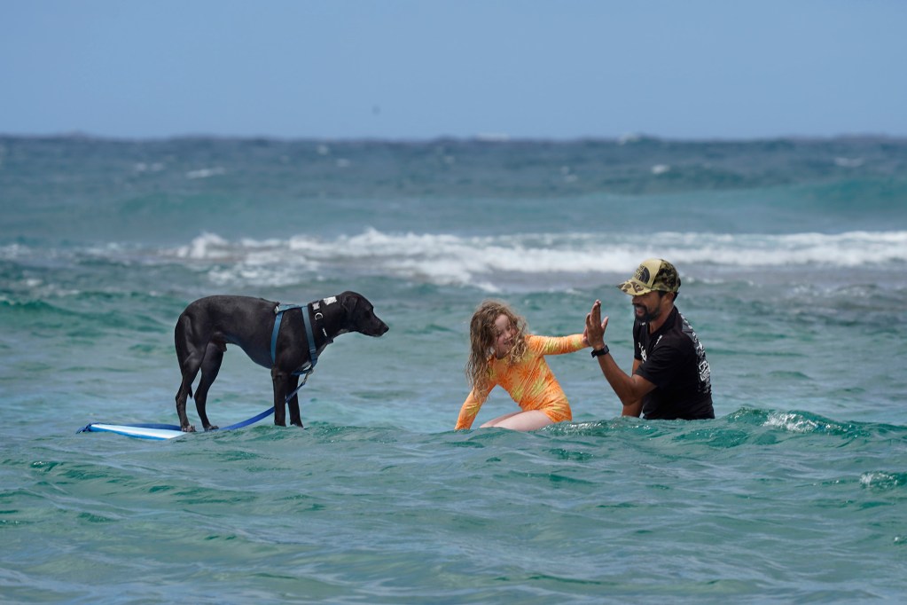 Aka watches Myla Rezmovits, 7, of Hastings-on-Hudson, New York, celebrate with Rocky Canon after catching some waves in Kuilima Cove on Wednesday, March 27, 2024, at Turtle Bay Resort in Kahuku. Canon runs (North Shore Ocean Guides) NSOG Hawaii to share his love of the ocean with clients. (Kevin Fujii/Civil Beat/2024)