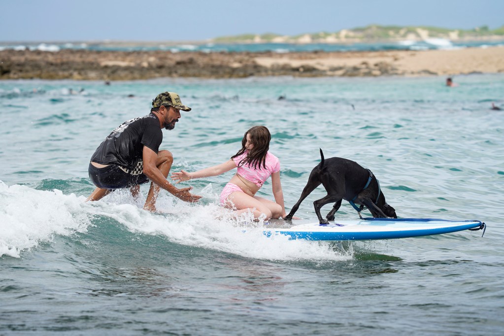 Once some momentum adds some stability to the board, Rocky Canon pops up and gives Jeanne Rezmovits, 10, of Hastings-on-Hudson, New York, a hand while his dog Aka adds some weight to the nose in Kuilima Cove on Wednesday, March 27, 2024, at Turtle Bay Resort in Kahuku. Canon runs (North Shore Ocean Guides) NSOG Hawaii to share his love of the ocean with clients. (Kevin Fujii/Civil Beat/2024)