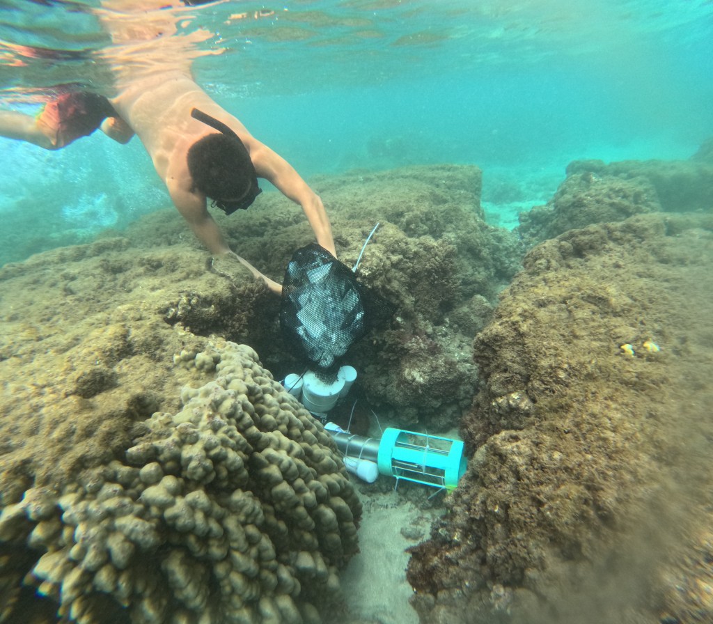 University of Hawaii researchers have been testing the offshore water quality following the Aug. 8 fires in Lahaina. (Courtesy: Andrea Kealoha/2023)