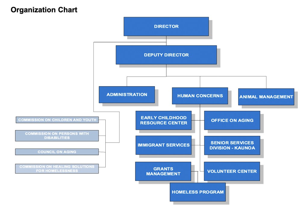 The new Department of Human Concerns' proposed organizational chart will not include any new positions from the services it provided before bifurcation of the Department of Housing and Human Concerns. (Chart: Maui County)