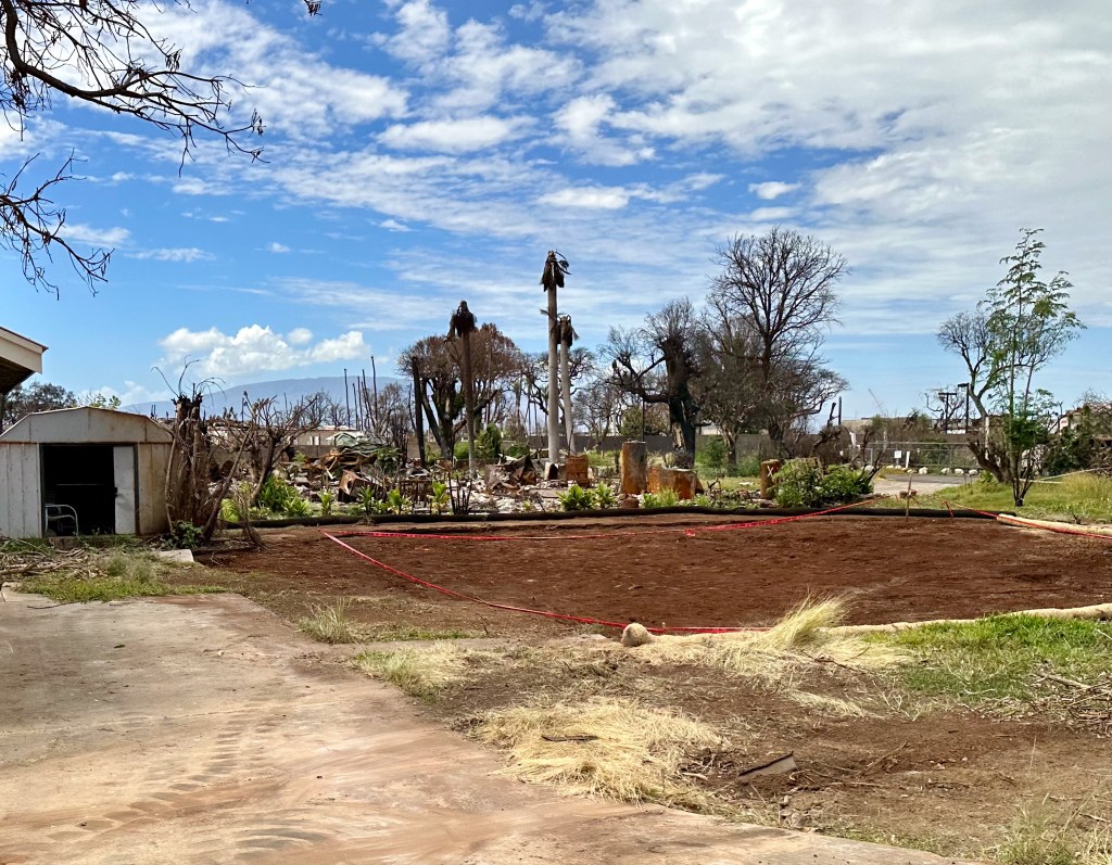 A cleared property in Lahaina after the Aug. 8 fires, photographed March 12, 2024. (Nathan Eagle/Civil Beat/2024)