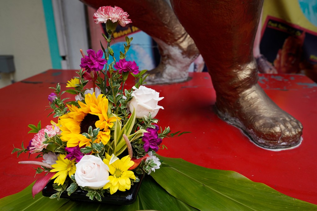 A small memorial of flowers sit at the feet of Akebono’s full-size statue Thursday, April 11, 2024, in Honolulu. Akebono Taro passed this week at the age of 54 in Tokyo. He was the first foreign-born sumo grand champion, or “Yokozuna.” Born Chad George Ha’aheo Rowan in Hawaii, he retired in 2001, but continued to live in Japan. (Kevin Fujii/Civil Beat/2024)