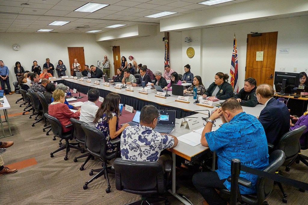 WAM and FIN members came together on Monday April 15th for the first time to look at items that both committees agree on. Led by Senator Deal Cruz and Representative Yamashita the group cleared their agenda in short order to conclude their meeting at approximately 5:15pm (David Croxford/Civil Beat/2024