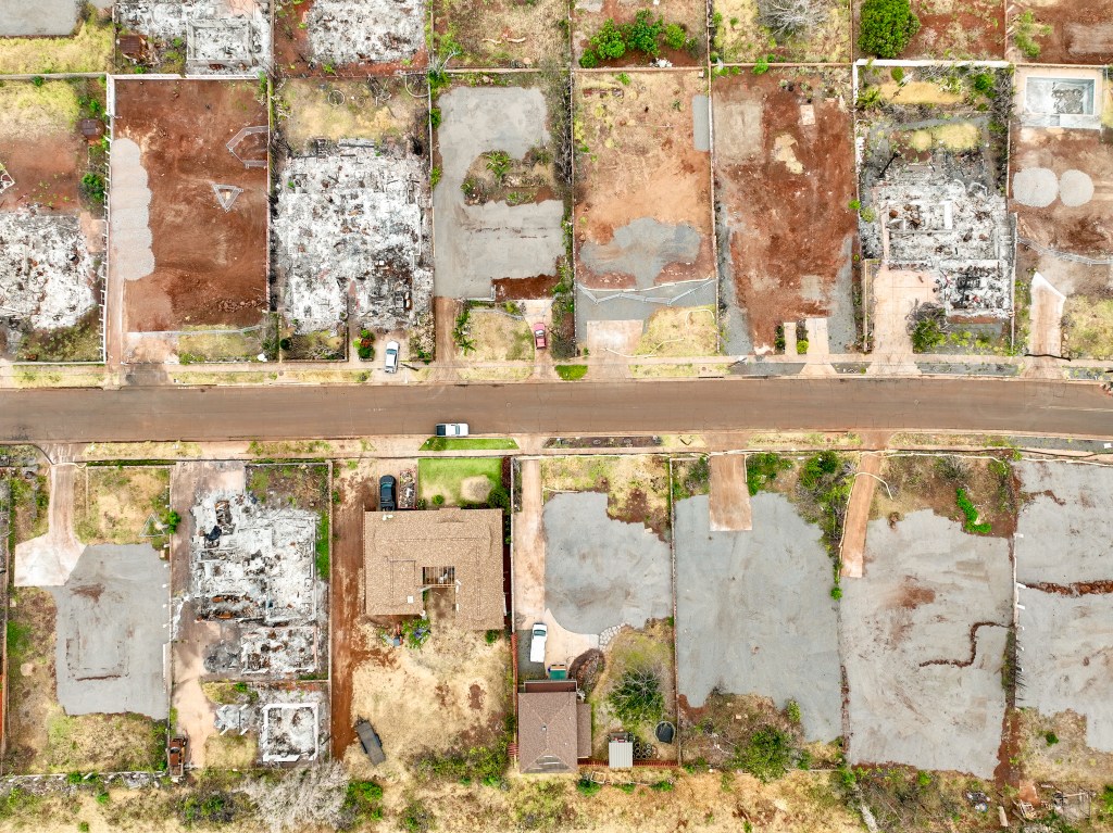 More house lots were cleared in April after the Aug. 8 wildfires. (Nathan Eagle/Civil Beat/2024)