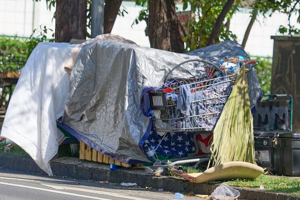 A quick survey of the main thoroughfares through Honolulu and to the east along King Street shows that there is no Shopping Cart of choice by those who feel compelled to use them as a conveyance for their property. Carts from Long's Drugs, Whole Foods, Home Depot and Walmart were all visible at various locations. Some in the hands of homeless individuals while others seemed to be abandoned. Photographed 24 May 2024.(David Croxford/Civil Beat/2024)