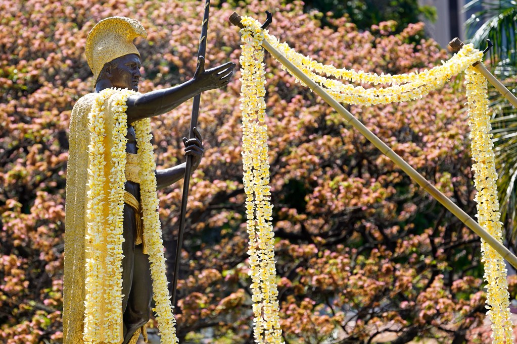 Thirty-foot plumeria leis are raised to adorn the outstretched arm of the King Kamehameha statue during the 152nd annual King Kamehameha Lei Draping Ceremony Friday, June 7, 2024, in Honolulu. The royal society of Ahahui Kaahumanu continues this tradition since their inception and for almost as long as the statue has stood in front of Aliiolani Hale. (Kevin Fujii/Civil Beat/2024)