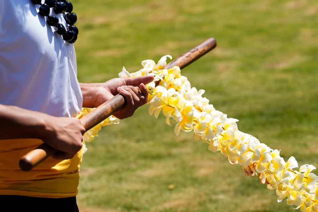 Young men carry 30-foot plumeria leis for the 152nd annual King Kamehameha Lei Draping Ceremony Friday, June 7, 2024, in Honolulu. Ahahui Kaahumanu strings 30’ plumeria leis to serve as the base of the leis on the King Kamehameha statue in front of Aliiolani Hale. (Kevin Fujii/Civil Beat/2024)