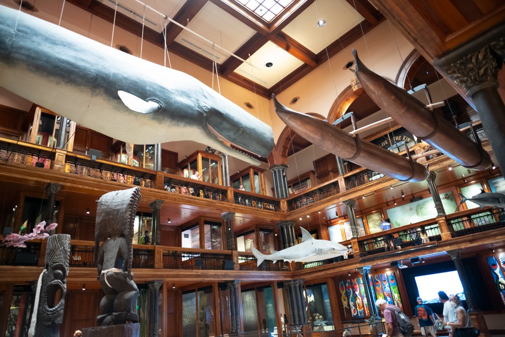Bishop Museum’s long-standing exhibit of Hawaii is photographed Sunday, June 8, 2024, in Honolulu. (Kevin Fujii/Civil Beat/2024)