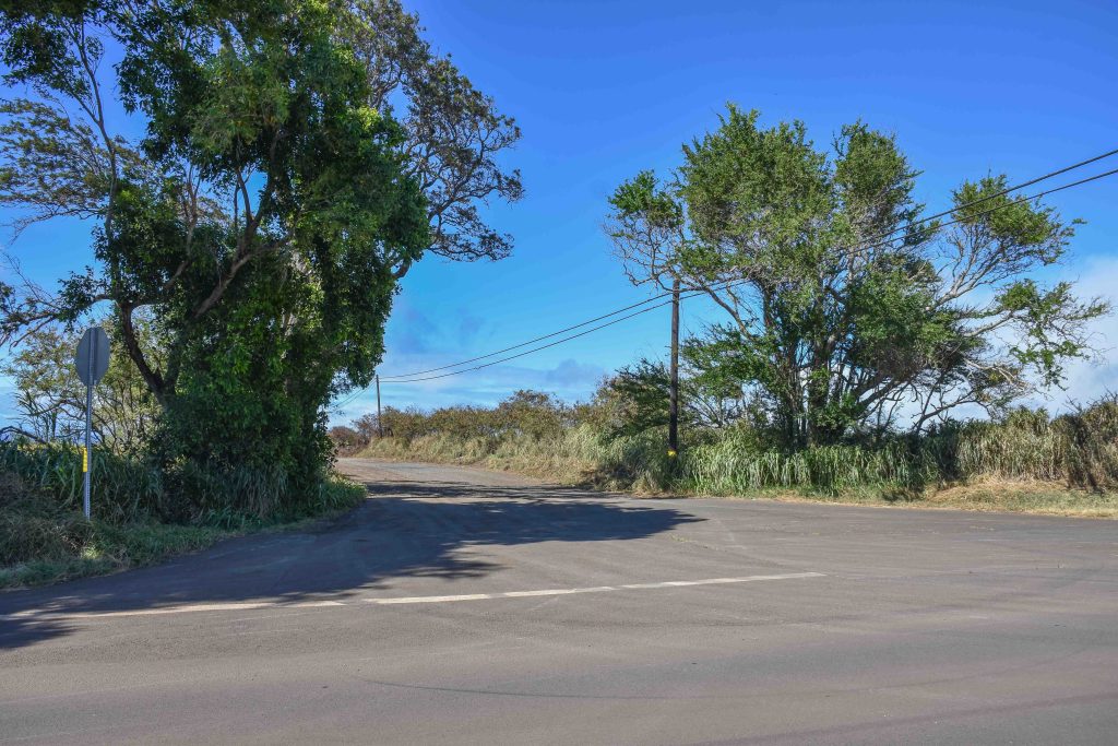 The Maui County Council passed an ordinance to restrict travel and parking along Holomua road near Paia Town due to a rash of fires, but so far there are no signs or gates to enforce it. (Cammy Clark/Civil Beat/2024)