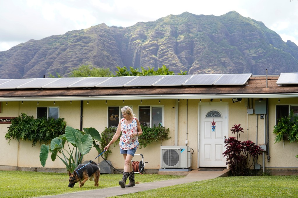 Charlie, a two-year-old German Shepherd, sniffs the yard at Sandy Van’s Tradewinds Pet Suites Monday, July 1, 2024, in Waianae’s Laulaulei Valley. If Bill 64 is enacted in to law, Van would drastically be forced to change how she works her land. (Kevin Fujii/Civil Beat/2024)