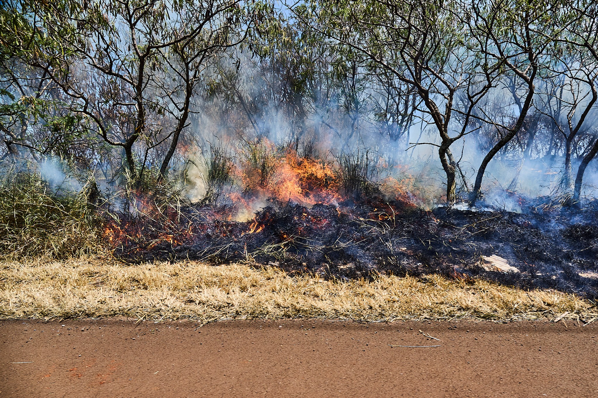 Along highway 50 between Moi Road and Aloha Sweet Delights an unattended hot spot flared into a full blown wildfire which the KFD was quickly able to extinguish. These images were photographed as the fire dept was dispatched to the scene at 2.05 pm July 16th, 2024 (David Croxford/CivilBeat/2024)