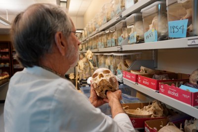 How A Human Bone Collection in Honolulu Aids Forensic Anthropology in Asia
