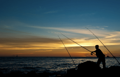 Increase In Trophy-Sized Fish Documented Around Marine Protected Areas