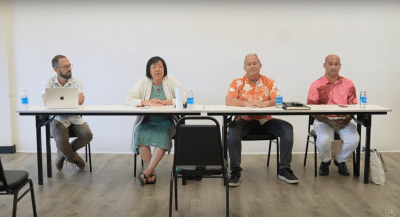 South Maui County Council District: Meet Your 2024 Hawaii Election Candidates
