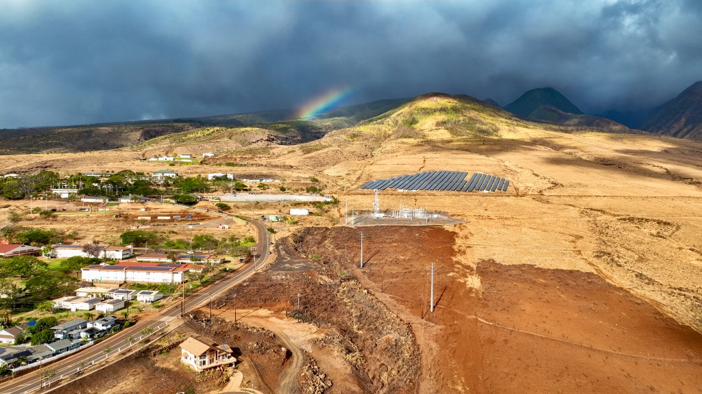 An area mauka of Lahaina town off Lahainaluna Road is believed to be where the Aug. 8 fires started. (Nathan Eagle/Civil Beat/2024)