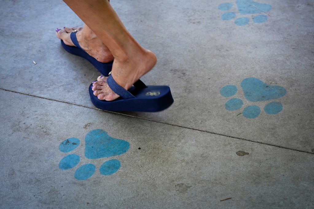 A human walks out of a dog pavilion during the inaugural Keiki, Canine & Kitty Fest, a first anniversary celebration for the Hawaiian Humane Society’s Kosasa Family Campus at Ho‘opili Saturday, Aug. 3, 2024, in Ewa Beach. (Kevin Fujii/Civil Beat/2024)