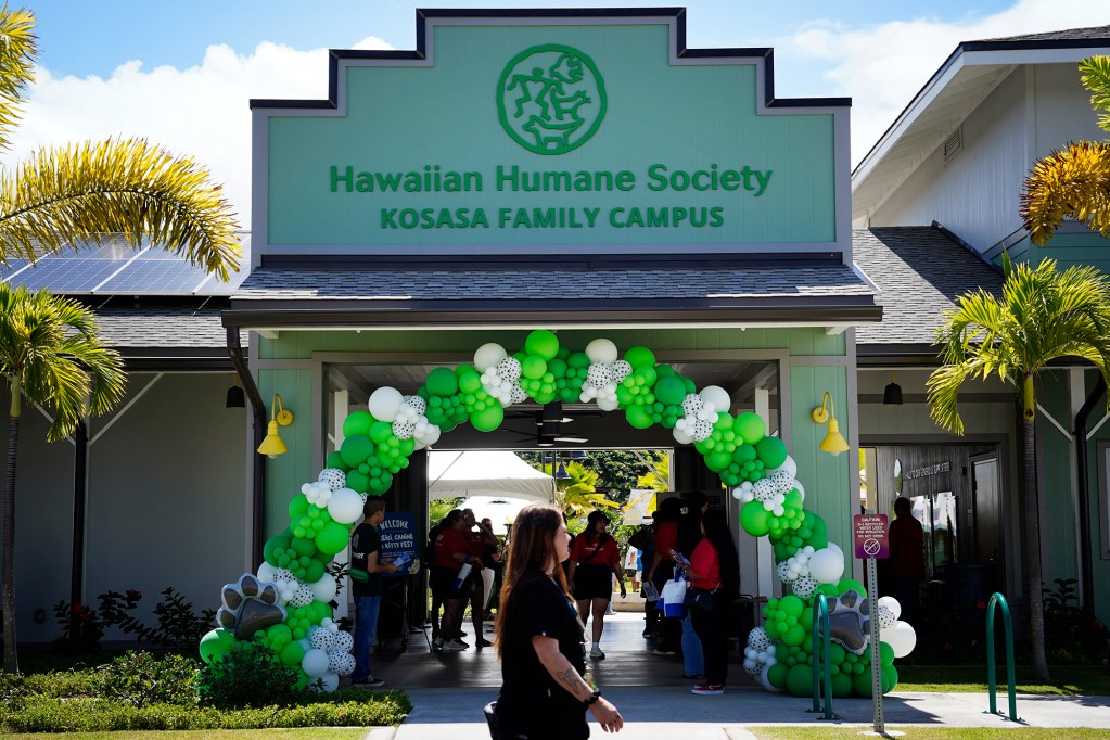 Hawaiian Humane Society’s Kosasa Family Campus at Ho‘opili hosts the inaugural Keiki, Canine & Kitty Fest to celebrate their first anniversary Saturday, Aug. 3, 2024, in Ewa Beach. (Kevin Fujii/Civil Beat/2024)