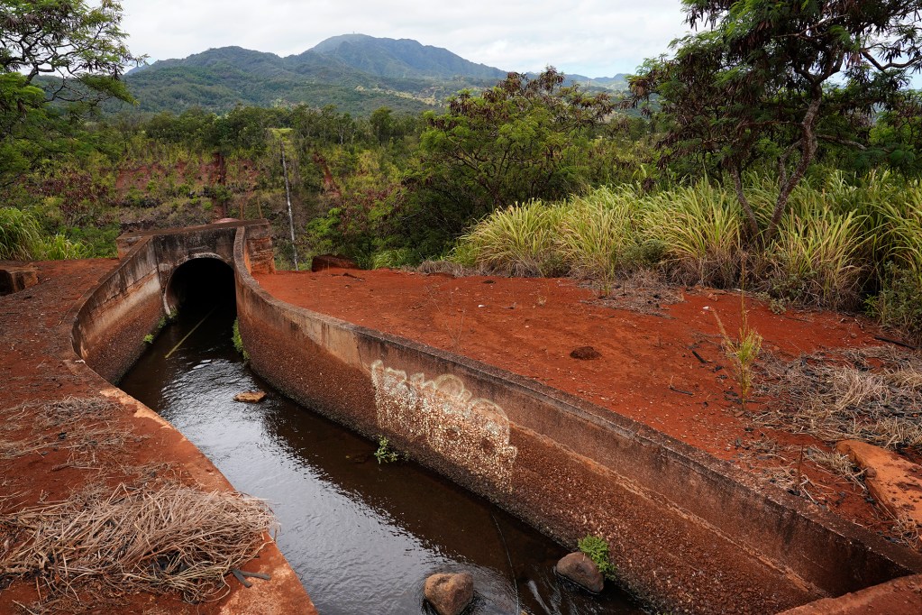 An irrigation ditch flows at the Dole pineapple fields Monday, Aug. 5, 2024, in Wahiawa. (Kevin Fujii/Civil Beat/2024)
