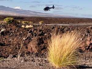 Helicopter Companies Push To Reopen New  Plan Restricting Air Tours Over Volcanoes Park