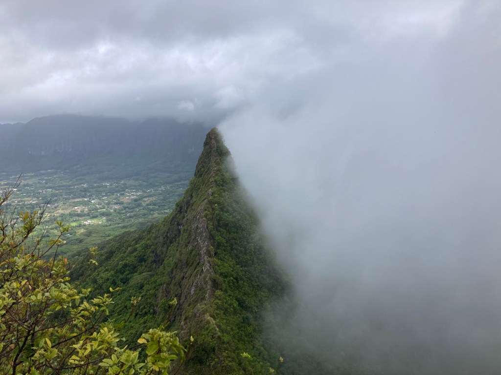 A tall jungly peak is crowded by fog on only the right side