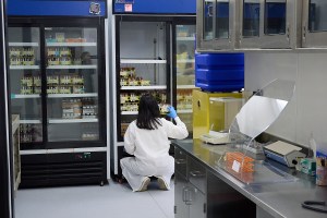 The Unnamed Dead Of Honolulu May Be Revealed Through DNA Testing