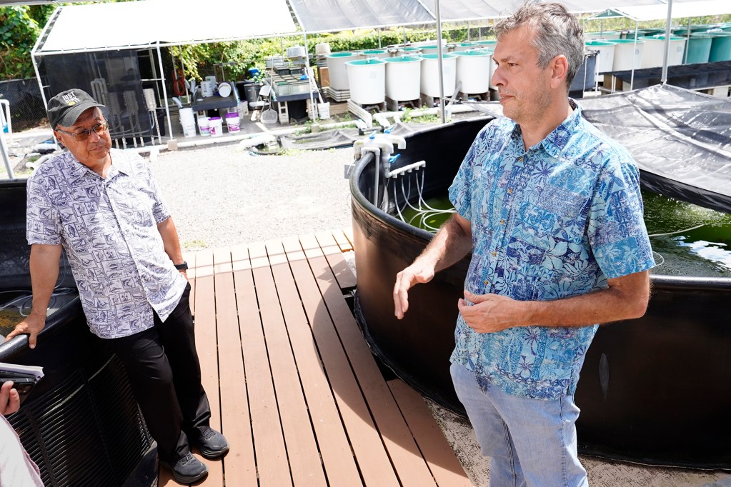 University of Hawaii Sea Grant College Program Associate Director/Extension Leader Darren K. Okimoto, PhD, left, and College of Tropical Agriculture and Human Resources Department of Human Nutrition, Food & Animal Sciences Associate Researcher and Professor Andre Seale, PhD, give Civil Beat a tour of their new facility, The Tuahine Aquaculture Research and Education Center on Monday, Sept. 23, 2024, in Honolulu. (Kevin Fujii/Civil Beat/2024)
