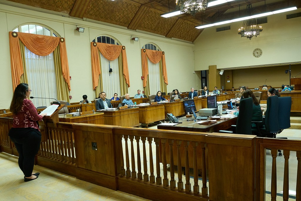 Bill 46 came before Honolulu City Council this afternoon. The bill raises the possibility of taxing houses that are considered income properties that remain empty within the housing market in Honolulu County People from Local 5 strikers testified in favor of the bill along with past and present UH Mano graduates.(David Croxford/Civil Beat/2024)