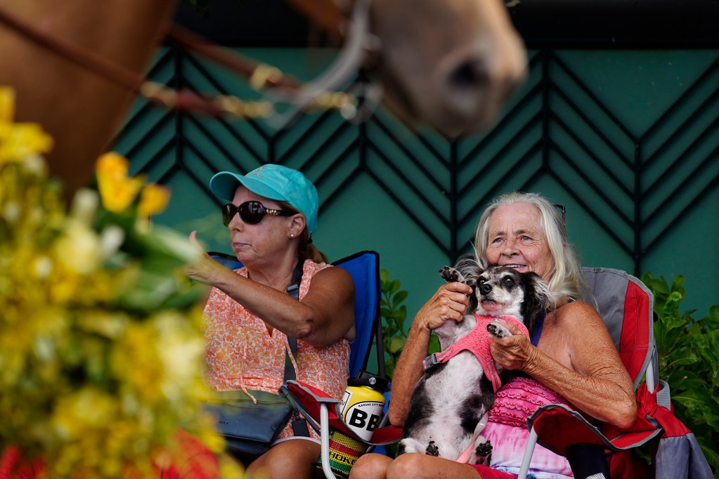 Beth Straw of Honolulu and her sweet, eight-year-old dog Vicious, wave to the horses in the Aloha Festivals 76th Annual Floral Parade on Kalakaua Avenue Saturday, Sept. 25, 2024, in Waikiki. (Kevin Fujii/Civil Beat/2024)